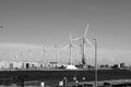 black and white photo of a wind farm with a train passing by