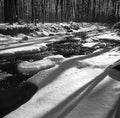 Winter Stream in Northern Maryland Royalty Free Stock Photo