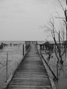 Black and white photo of wood bridge to the sea, hand made constructure