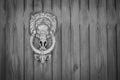 Black and white photo of a wooden door with a knocker in the form of a lion. Abstract background Royalty Free Stock Photo