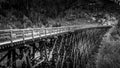 Black and White Photo of a Wooden Trestle Bridge of the abandoned Kettle Valley Railway in Myra Canyon Royalty Free Stock Photo