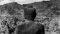 Black and White photograph of Buddha Statue, Borobodur Royalty Free Stock Photo