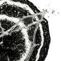 Dynamic water splash in black and white Royalty Free Stock Photo