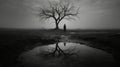 Vastness: A Melancholic Monochromatic Self-portrait In Gothic Expressionism