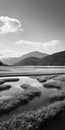 Stunning Black And White Marshland Landscape Near Mountains