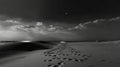 Moonlit Dune Path: A Delicate And Romantic Photo-realistic Landscape