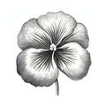 Delicate Sculptures: A Black And White Pansy Flower Illustration