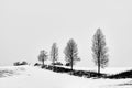 black and white photograph of snow covered landscape of trees and a hillside