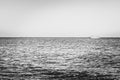 Black-white photography. Alone white boat or ship in silent sea or ocean water