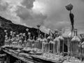 Black and White Photography of a Beautiful outdoor terrace vases decoration Royalty Free Stock Photo