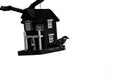 Black and white photography of bird and birdhouse hanging on a tree branch