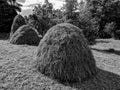 Black and White Photography of Heaps of hay lie on the field Royalty Free Stock Photo