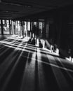 Black and white photography, lights and shadows, evening lights Royalty Free Stock Photo