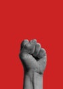 Photography of male fist rising up isolateted on red background