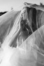 Black and white photography portrait of a beautiful girl in a white dress with a veil Royalty Free Stock Photo