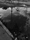 Black and white photography, puddle, reflection, sky