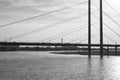 Black and white photography of Rheinkniebrucke bridge Royalty Free Stock Photo