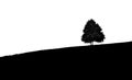 Black and white photos of Mountains and hills with small trees. Royalty Free Stock Photo