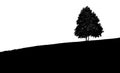 Black and white photos of Mountains and hills with small trees. Royalty Free Stock Photo