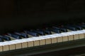 Black and white piano keys close-up. Black vintage grand pianoforte in the studio