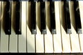 Black And White Piano Keys Close-up. Old piano. Royalty Free Stock Photo