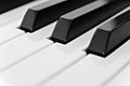 Black and White Piano Keys of a Keyboard Royalty Free Stock Photo