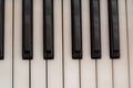 Black and white piano keys. Musical instrument