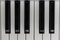 Piano keys octave close up