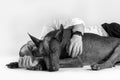 Black and white pic of young stylish male in formal shirt lying down on the floor, hugs dogs without hair.