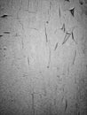 Artsy black and white picture of chipping paint