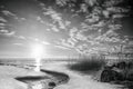 Black and white picture of Chudskoy Lake Royalty Free Stock Photo