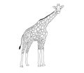 Black and white Picture giraffe to color