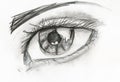 Black and white picture of human eye Royalty Free Stock Photo