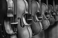 black and white picture of multiple violins hanging on the wall, musician workshop