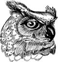 Black and white picture of an psychodellic Owl. Ornament, pattern, night, planets. Tattoo idea. Royalty Free Stock Photo