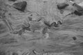 black and white picture of sand with water marks Royalty Free Stock Photo