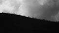 Silhouette of people walking on the edge of volcano Etna or mountain in Italy Royalty Free Stock Photo