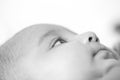 Black and White picture of a six month old indian baby Royalty Free Stock Photo