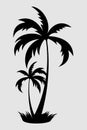 A black and white picture of two palm trees Royalty Free Stock Photo