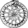 Black and white picture of a Uroboros snake eating its tail. Pattern, idea for tattoo.