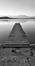 Black and white pier on the lake