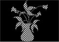 The black and white plaid flowers in vase