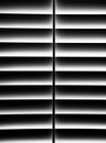 Black and White Plantation Shutter for Privacy