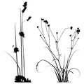 Black and white Plants silhouettes collection for designers