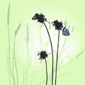 Plants silhouettes collection for designers. Flying butterfly