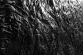 Black and white plasticine texture on a modeling board Royalty Free Stock Photo