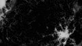 Black and white plexus texture with dots, lines, triangles flowing on black background, seamless loop. Animation