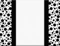 Black and White Polka Dot Frame with Ribbon Background Royalty Free Stock Photo