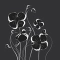 Black and white poppy flowers, Floral background with poppies - Vector Illustration