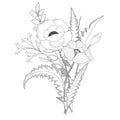 Black and white poppy and wild flowers bouquet. Coloring book page. Royalty Free Stock Photo